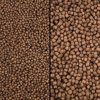 Koi Growth Pellets Floating - Pond Fish Food Carp Goldfish Coldwater Chub Grower (Large Pellet Size (6mm), 1kg)